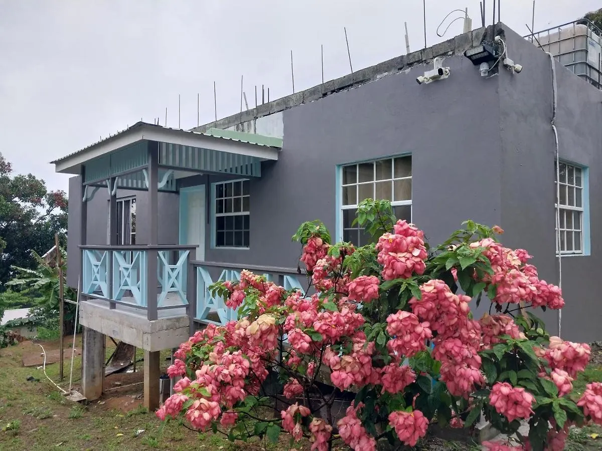 Vee'S Apartments Slu Castries 0*,